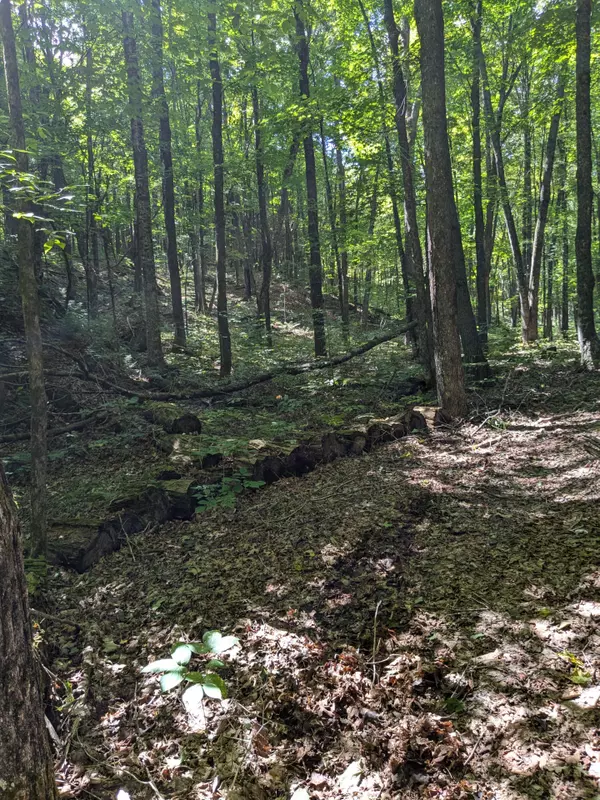 Minden Hills, ON K0M 2A1,0 Burnt River WAO N/A