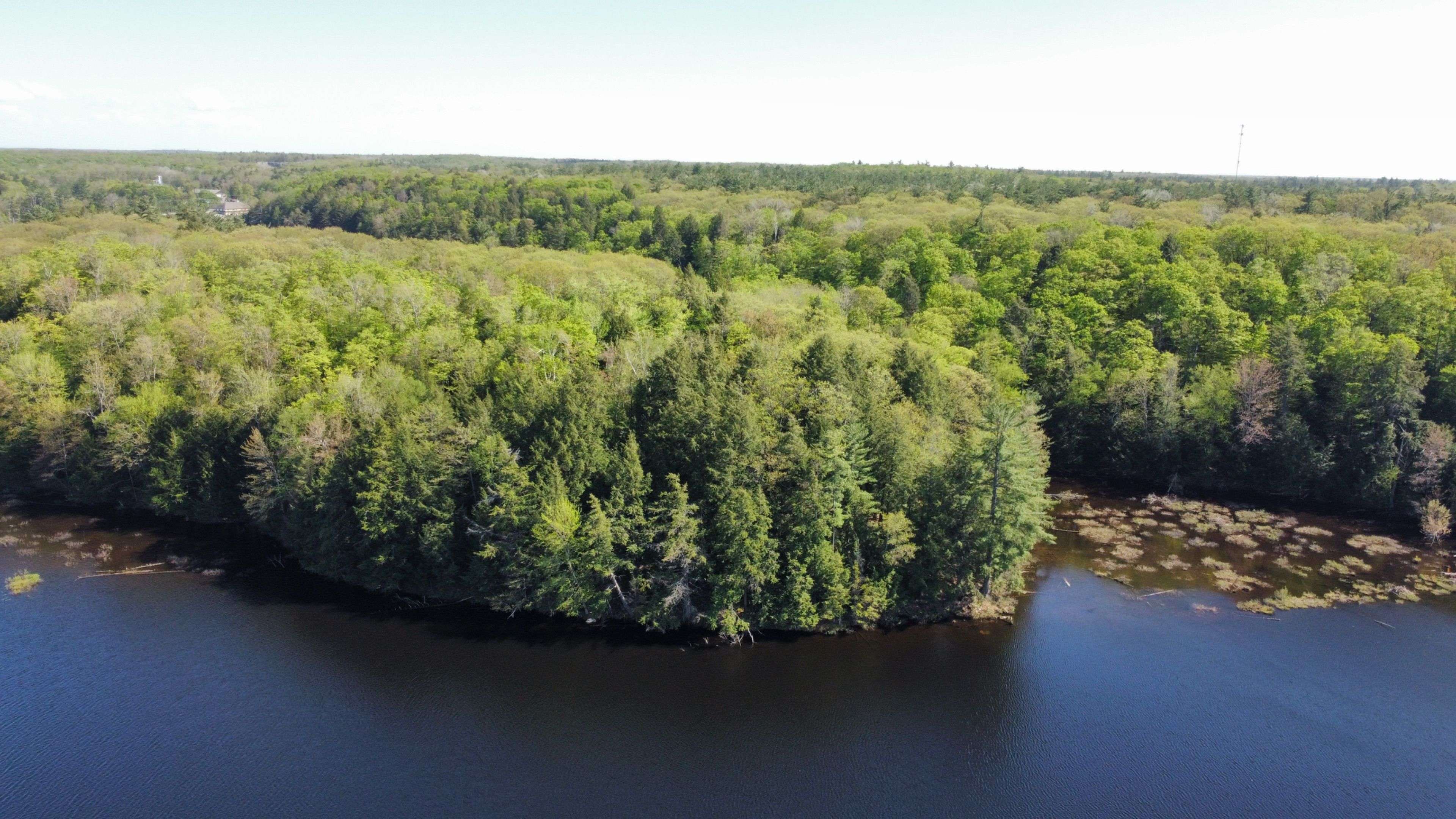 Muskoka Lakes, ON P0B 1J0,LOT B PENINSULA RD