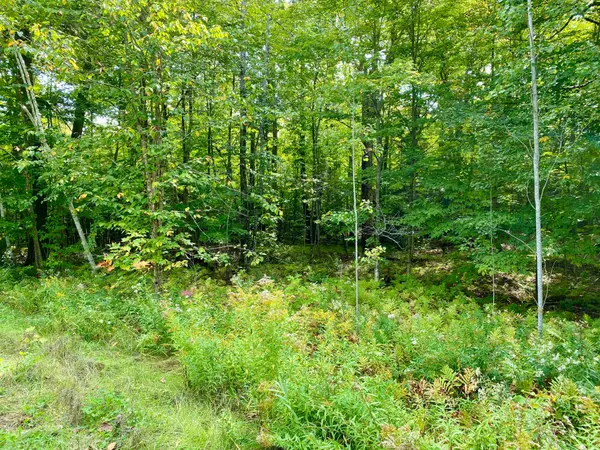 Parry Sound Remote Area, ON P0H 1S0,0 BROWN LN