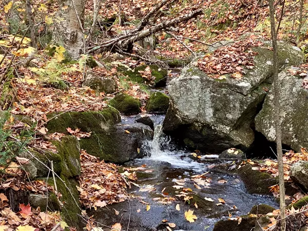 Parry Sound Remote Area, ON P0H 1S0,0 BROWN LN