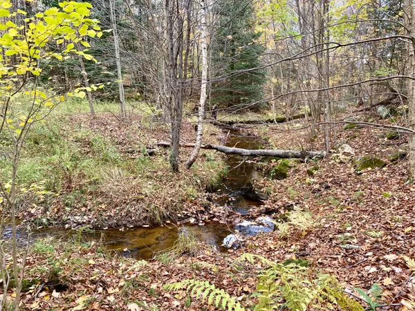 Parry Sound Remote Area, ON P0H 1S0,0 BROWN LN