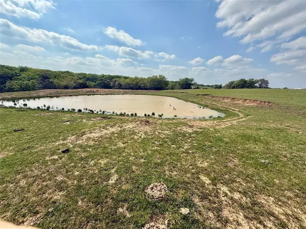 Whitesboro, TX 76273,41.72 acres Brumelow Road