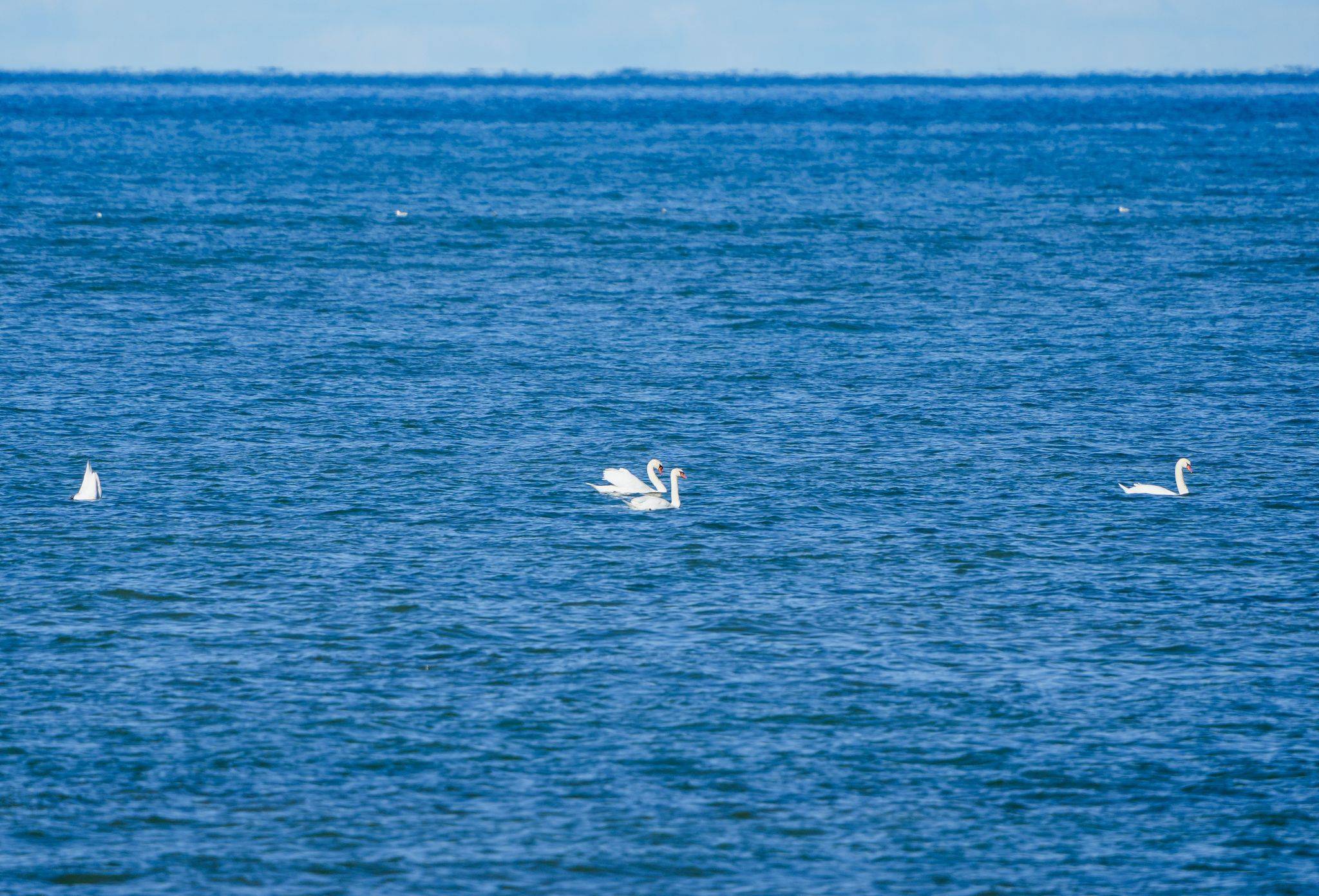 Lambton Shores, ON N0N 1J7,5322 Broadview AVE