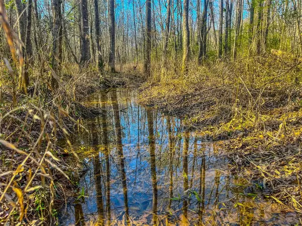 Palestine, TX 75803,0 E Private Road 8344