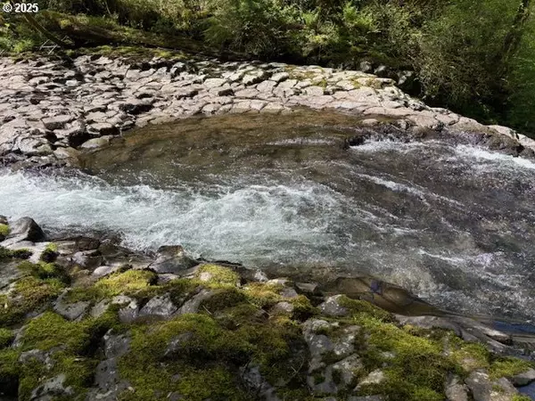 Scotts Mills, OR 97375,0 NE Crooked Finger RD