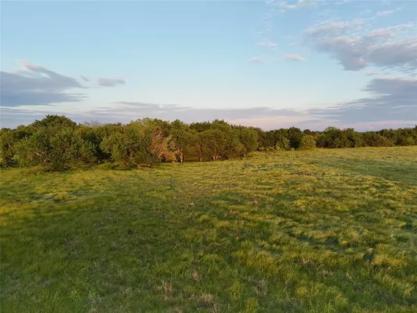 Ladonia, TX 75449,0035 FM 2456