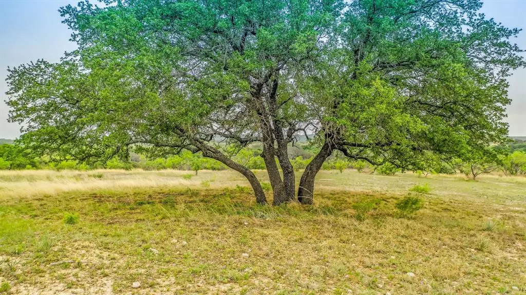 Lot 4 County Road 332, Blanket, TX 76432