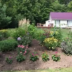 Algonquin Highlands, ON K0M 1S0,1096 Donarvon DR