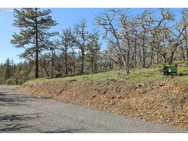 Lyle, WA 98635,Secluded Way #4