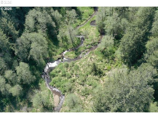 Yacolt, WA 98675,0 NE Elliott RD #58