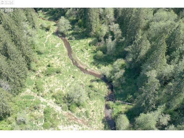 Yacolt, WA 98675,0 NE Elliott RD #58