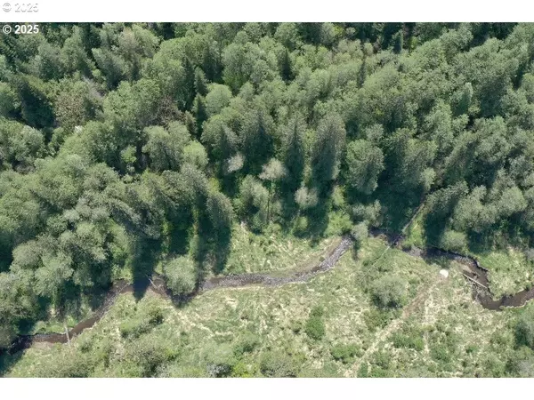 Yacolt, WA 98675,0 NE Elliott RD #58
