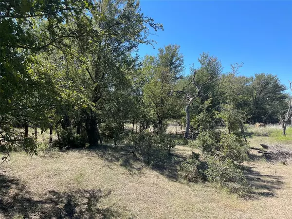 Mexia, TX 76667,TBD COUNTY ROAD 209