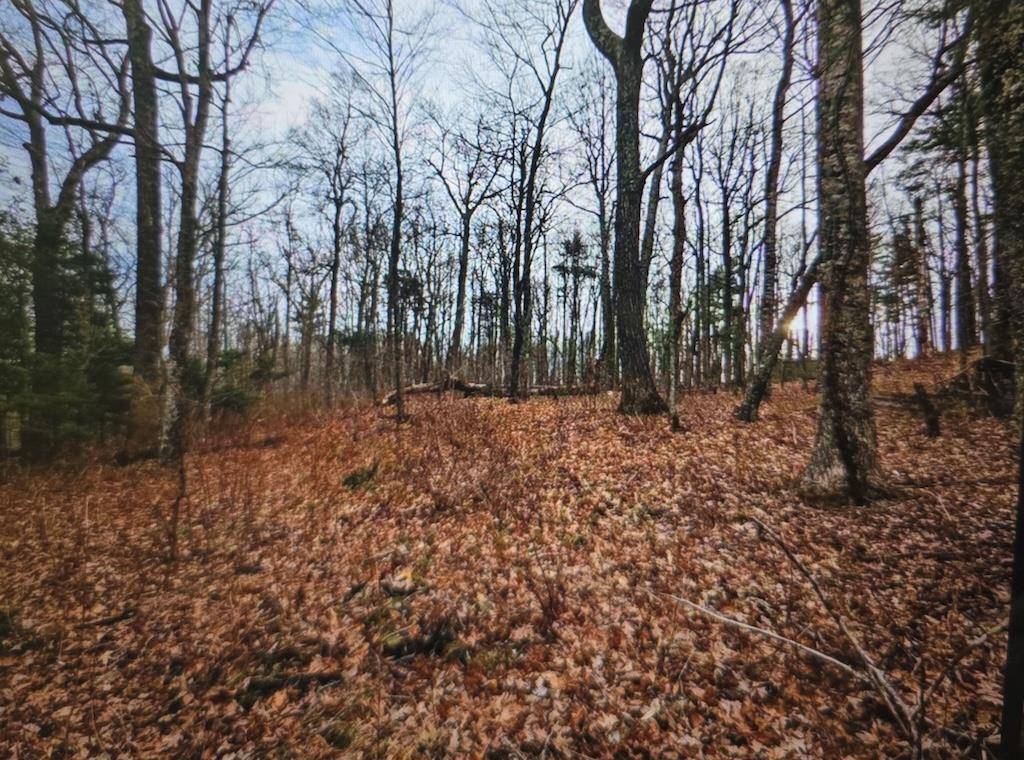 8225 Bear Ridge RD, Copper Hill, VA 24079