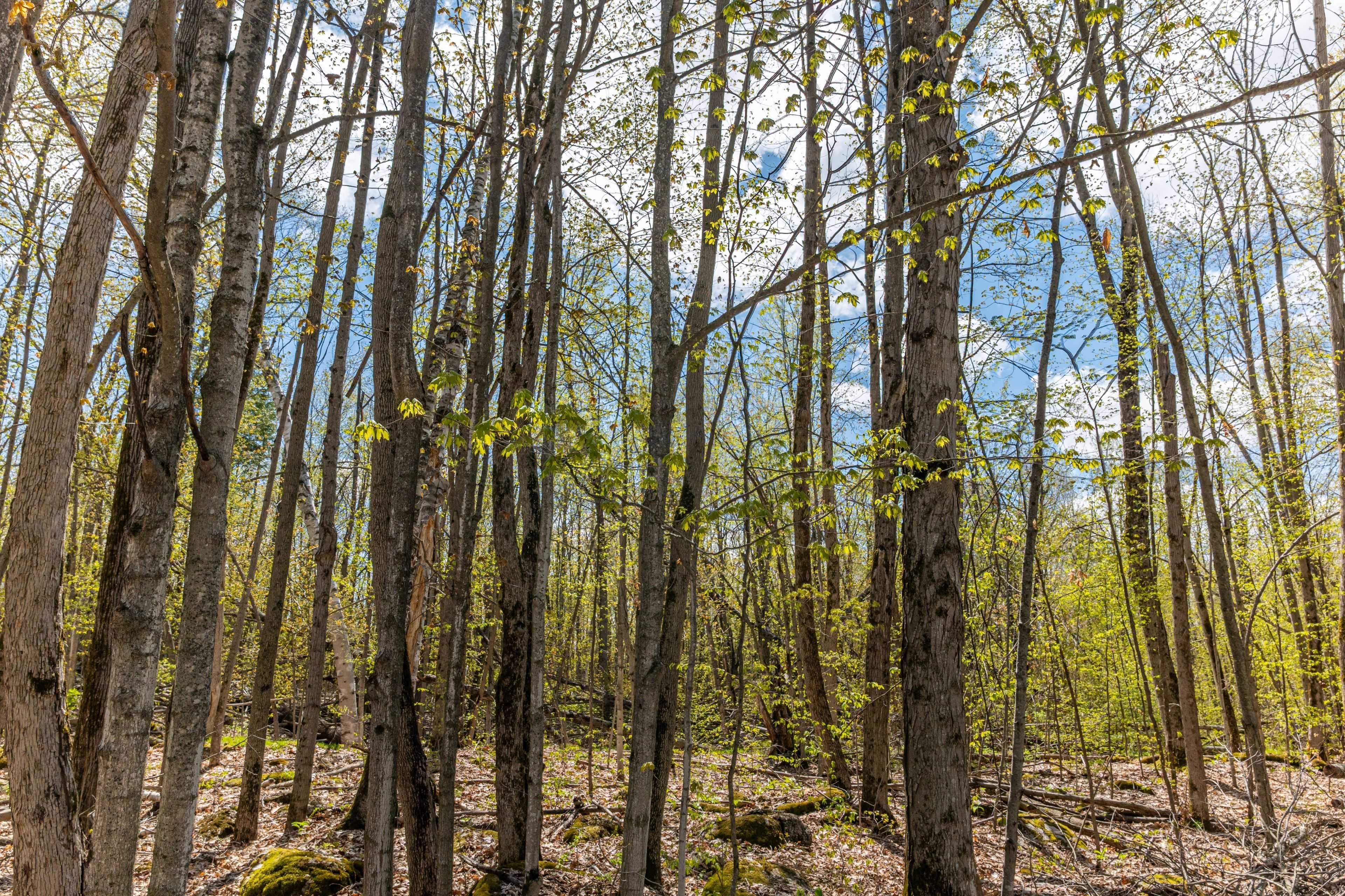 Douro-dummer, ON K0L 2H0,1030 Birchview RD