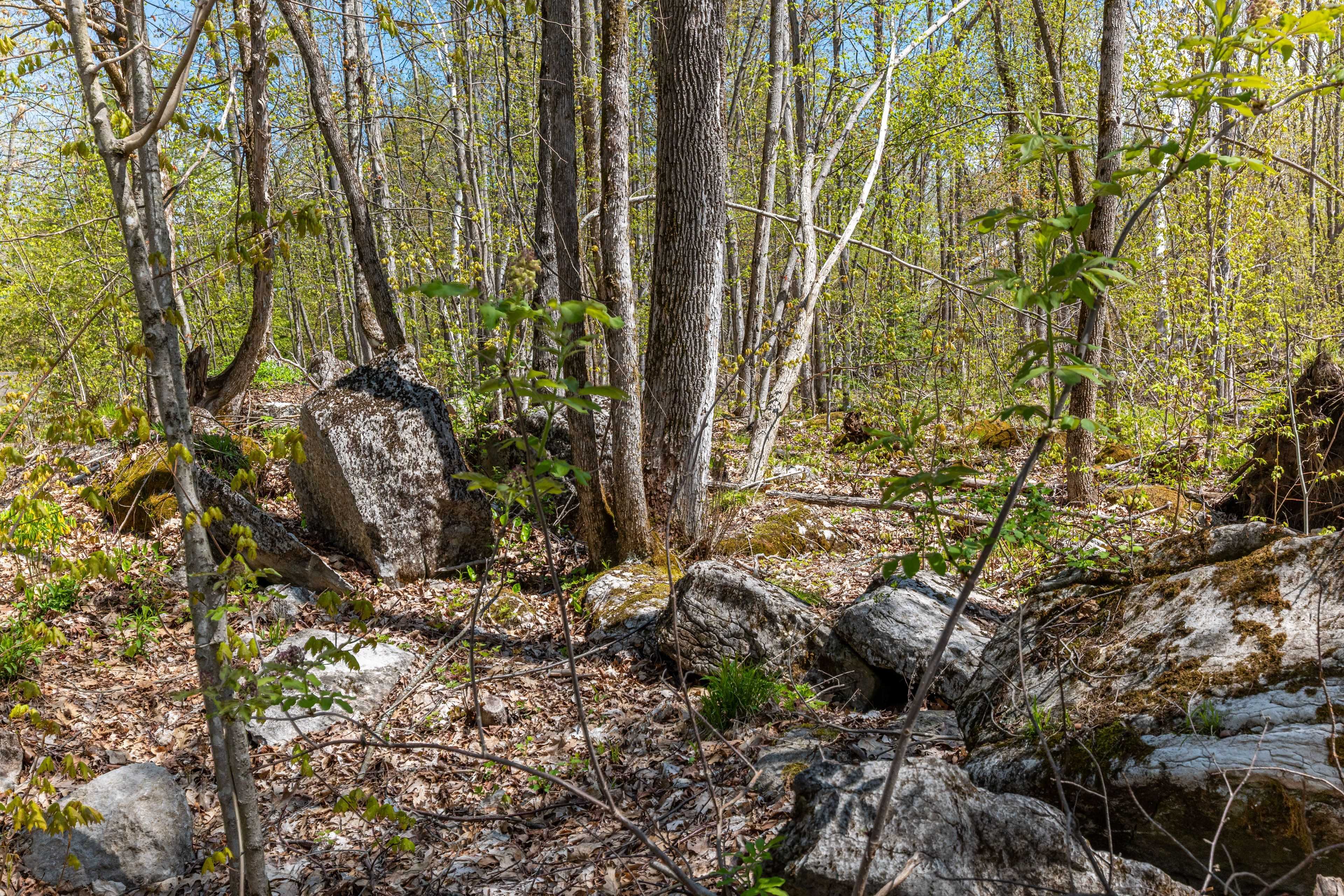Douro-dummer, ON K0L 2H0,1030 Birchview RD