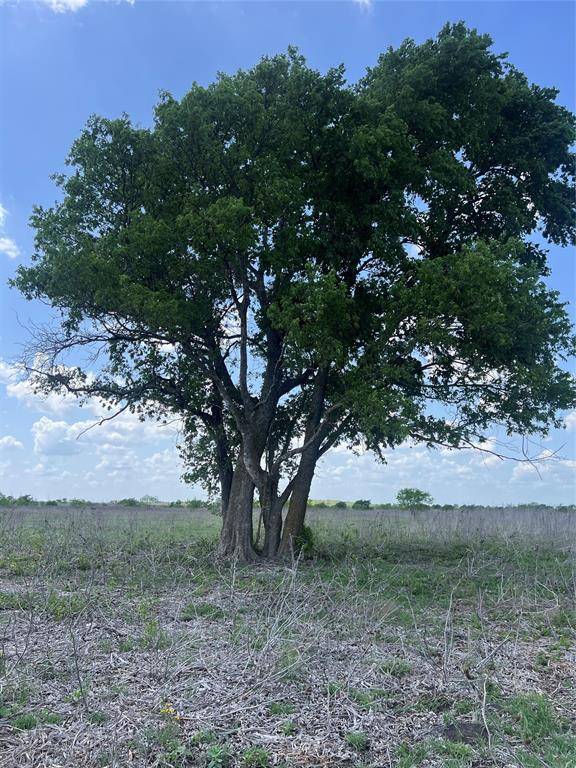 #28 Private Road 4311, Jonesboro, TX 76531
