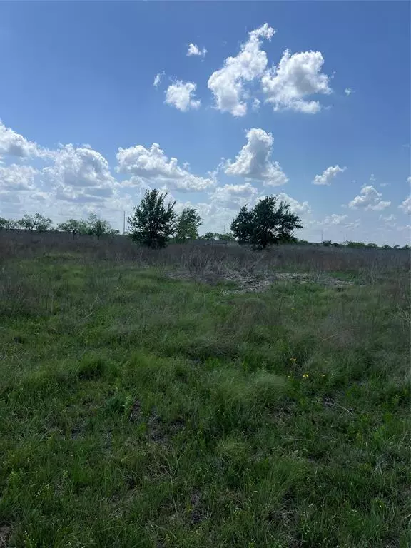 Jonesboro, TX 76531,#28 Private Road 4311