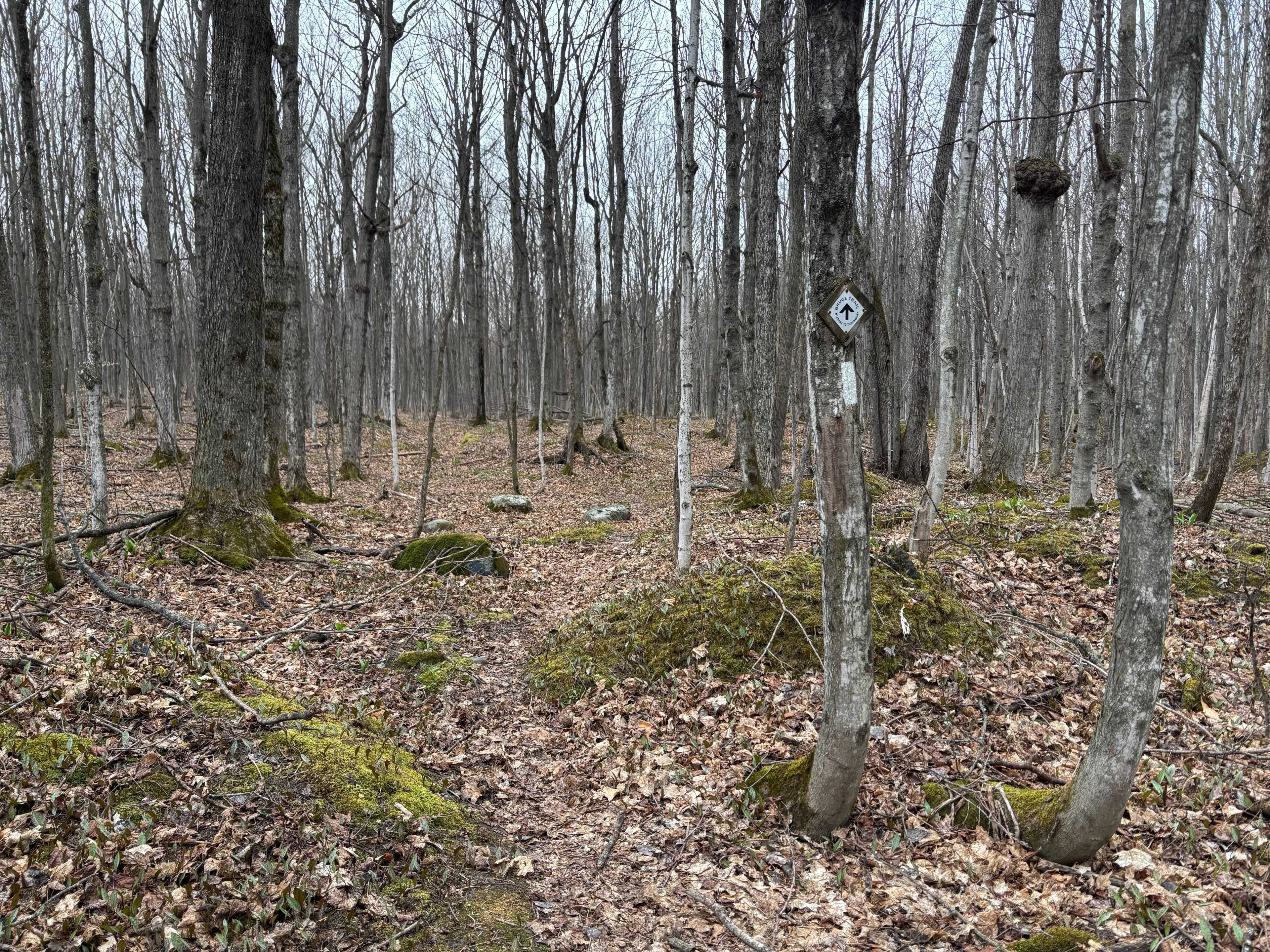 Northern Bruce Peninsula, ON N0H 1W0,PT LT 9 CON 14 EBR PT 20 Concession