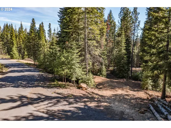 Crescent Lake, OR 97733,26 Aspen Highland CT #26