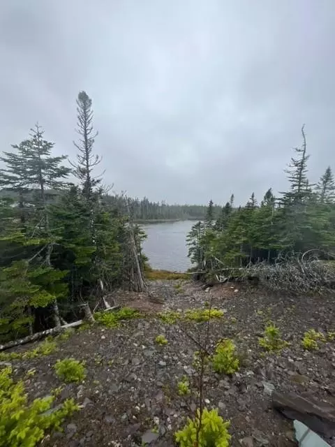 Tommy Penney 7th Pond, Salmonier Line, NL A1A1A1,Lot 31 Prison Camp Road