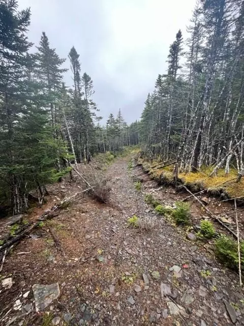 Tommy Penney 7th Pond, Salmonier Line, NL A1A1A1,Lot 31 Prison Camp Road