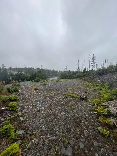Tommy Penney 7th Pond, Salmonier Line, NL A1A1A1,Lot 31 Prison Camp Road