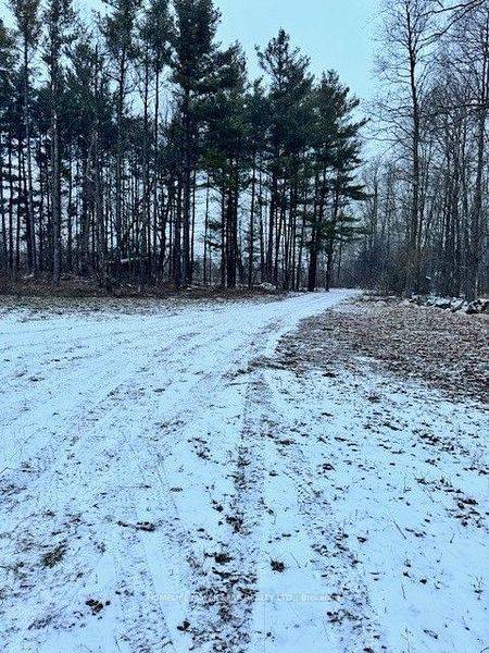 Milton, ON N0B 2K0,13716 4th Line Nassagaweya Line