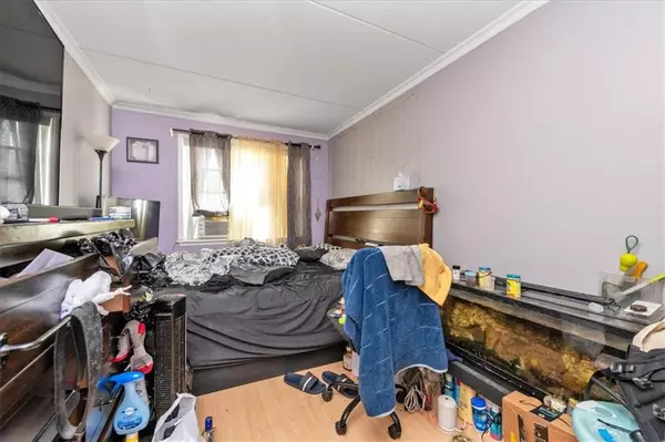 Brooklyn, NY 11207,217 Eldert ST