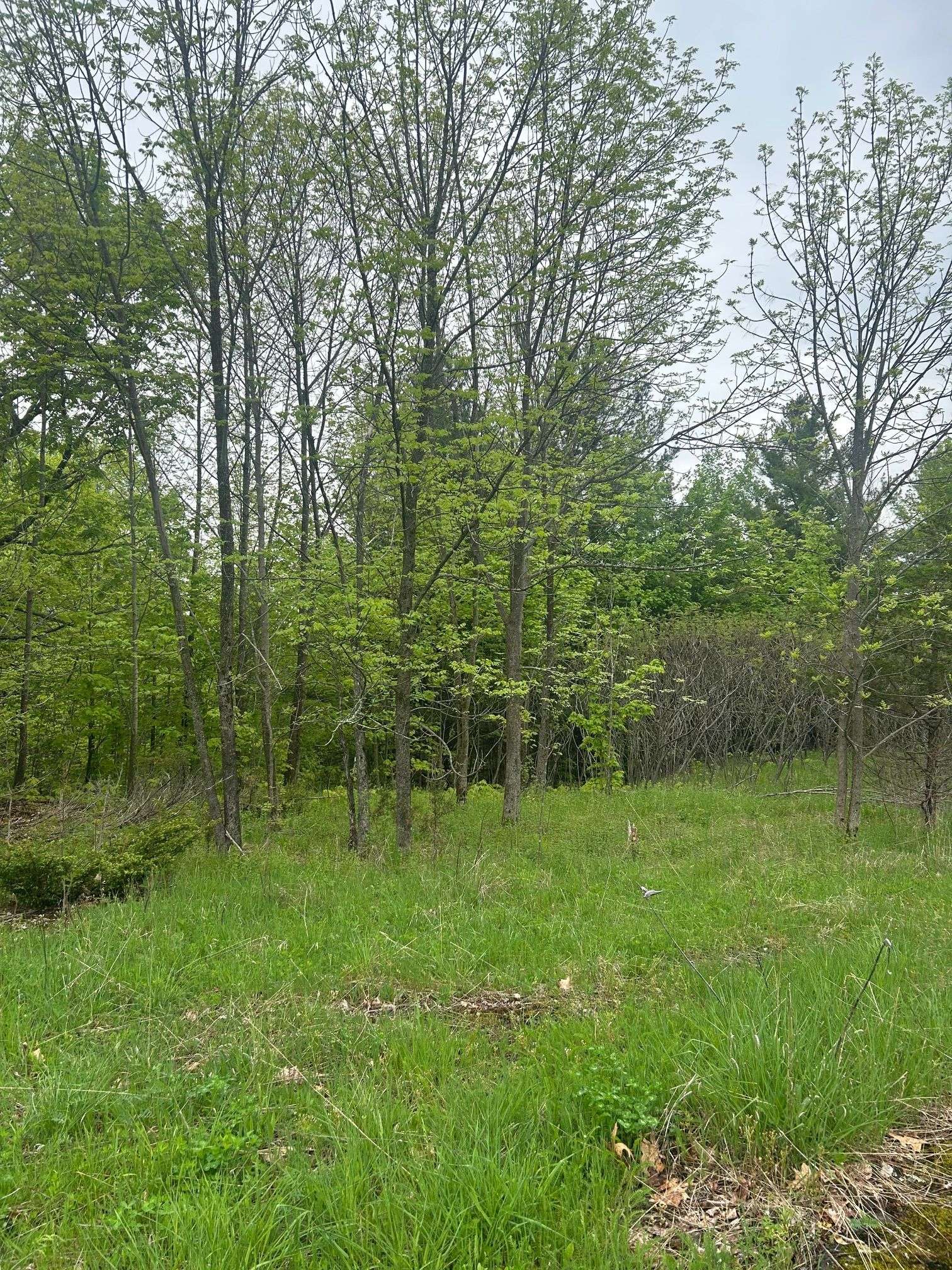 Frontenac, ON K0H 2V0,0 Bradshaw RD