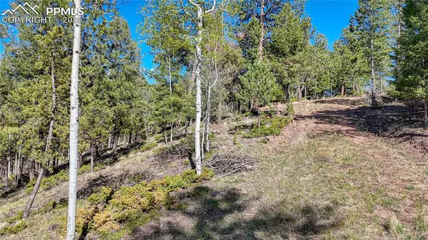 Florissant, CO 80816,56 Fir LN