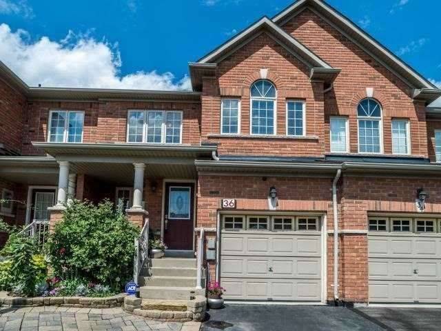 36 Lacebark CT, Brampton, ON L6R 3M8