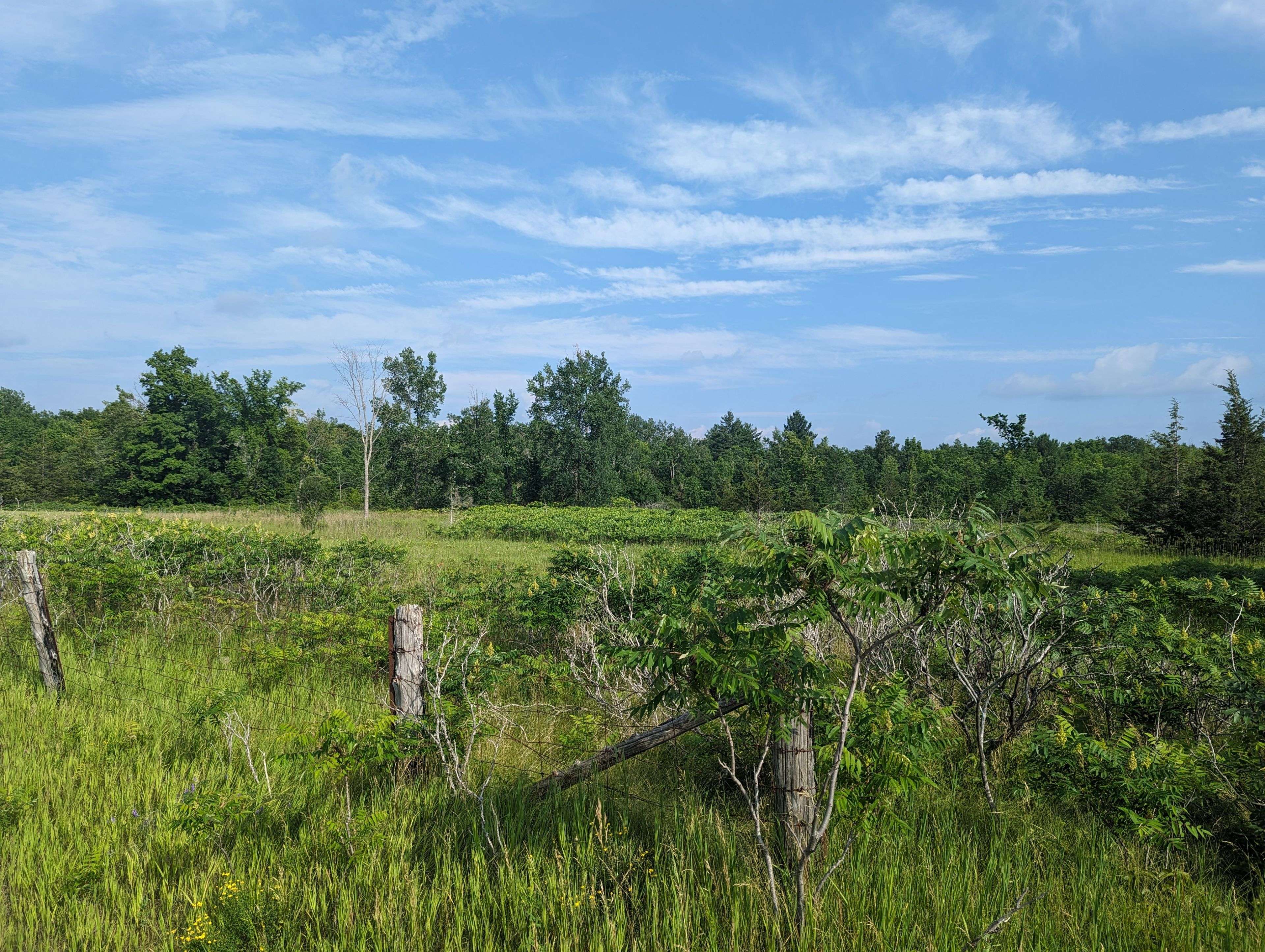 Stirling-rawdon, ON K0K 2T0,0 (C) Springbrook RD