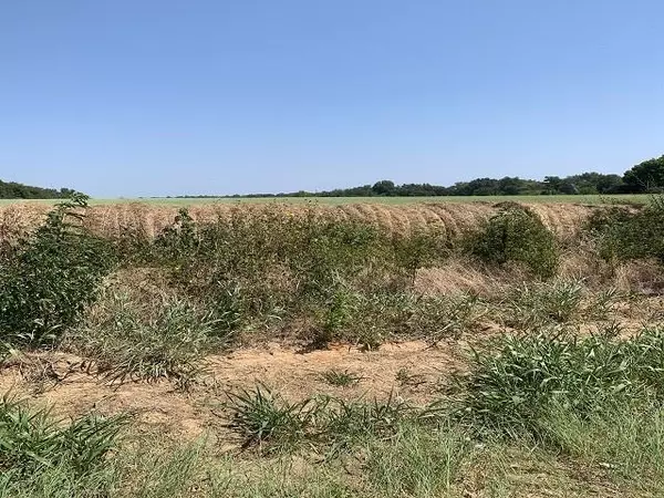 Bullard, TX 75757,000 W Christopher Lane
