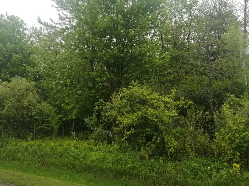 South Glengarry, ON K0C 2L0,0000 Hay RD S