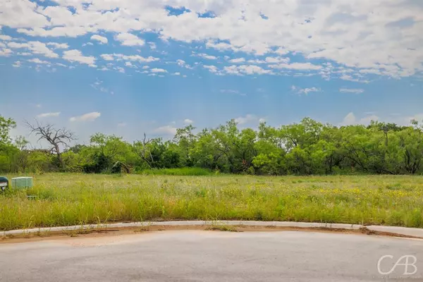 Clyde, TX 79510,7 Tarus Circle