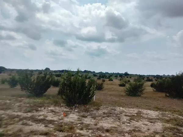 Lipan, TX 76433,514 Hollow Drive