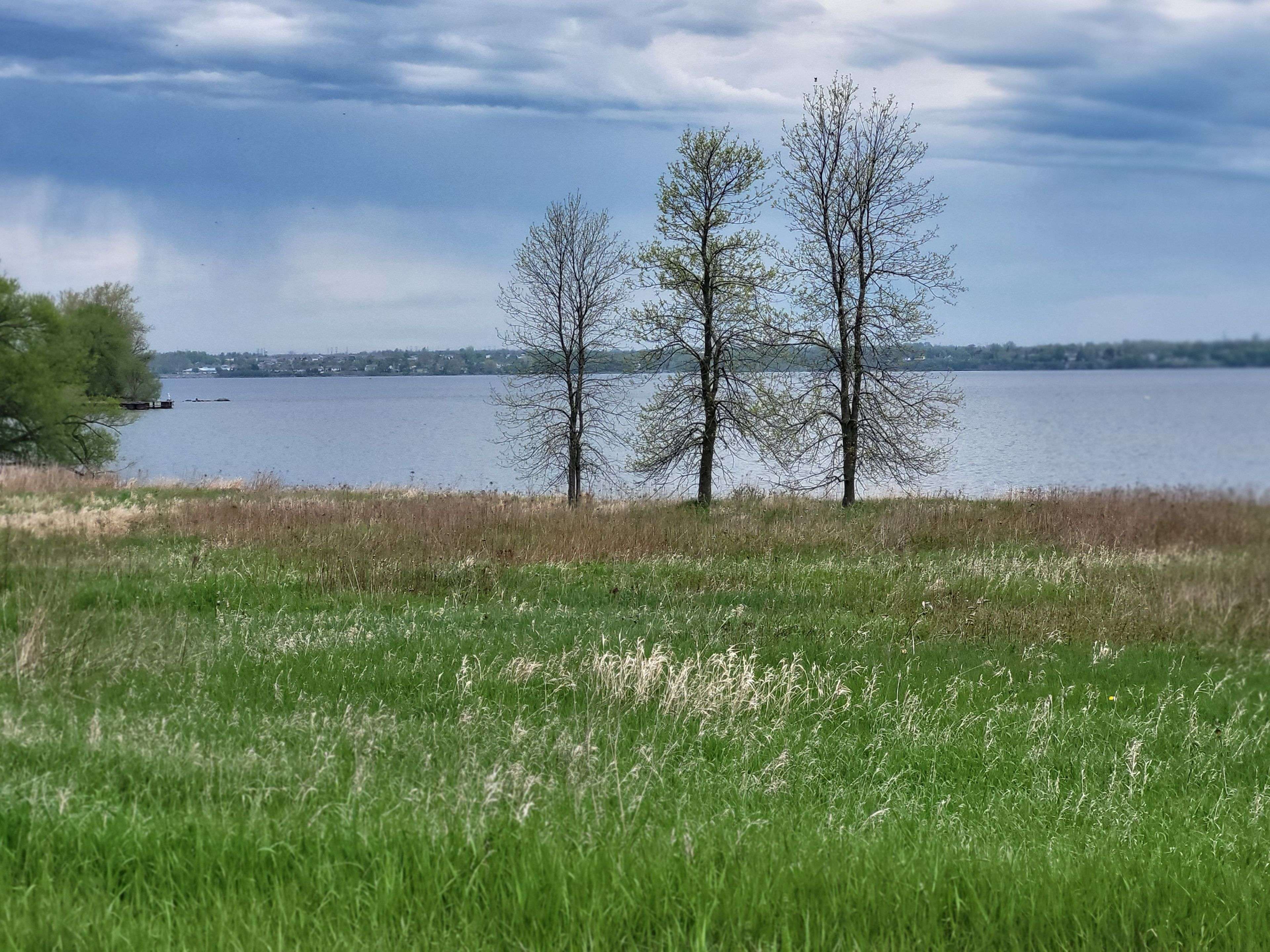 Frontenac Islands, ON K0H 2S0,LOT 4 FRONT RD