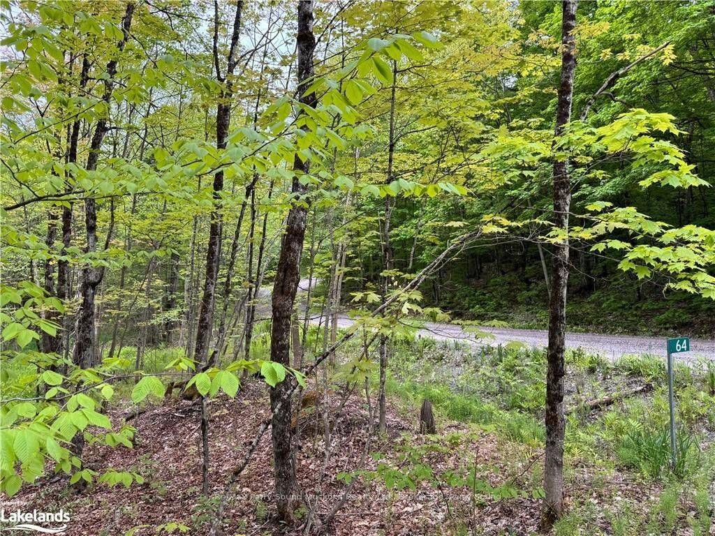 Seguin, ON P0C 1J0,64 Woodland DR