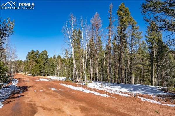 1007 Derby DR, Cripple Creek, CO 80813