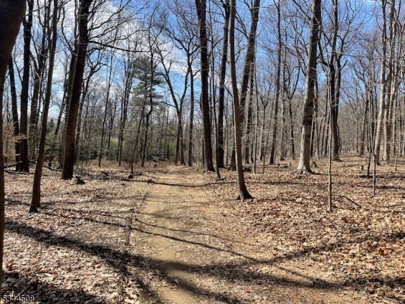 Mendham Twp., NJ 07945,7 Calais Rd