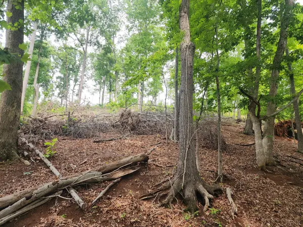 Hardy, VA 24101,69 Washburn CT