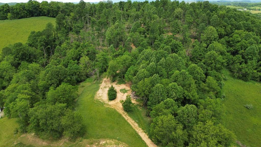 Meadowview, VA 24361,TBD Isaac Ln