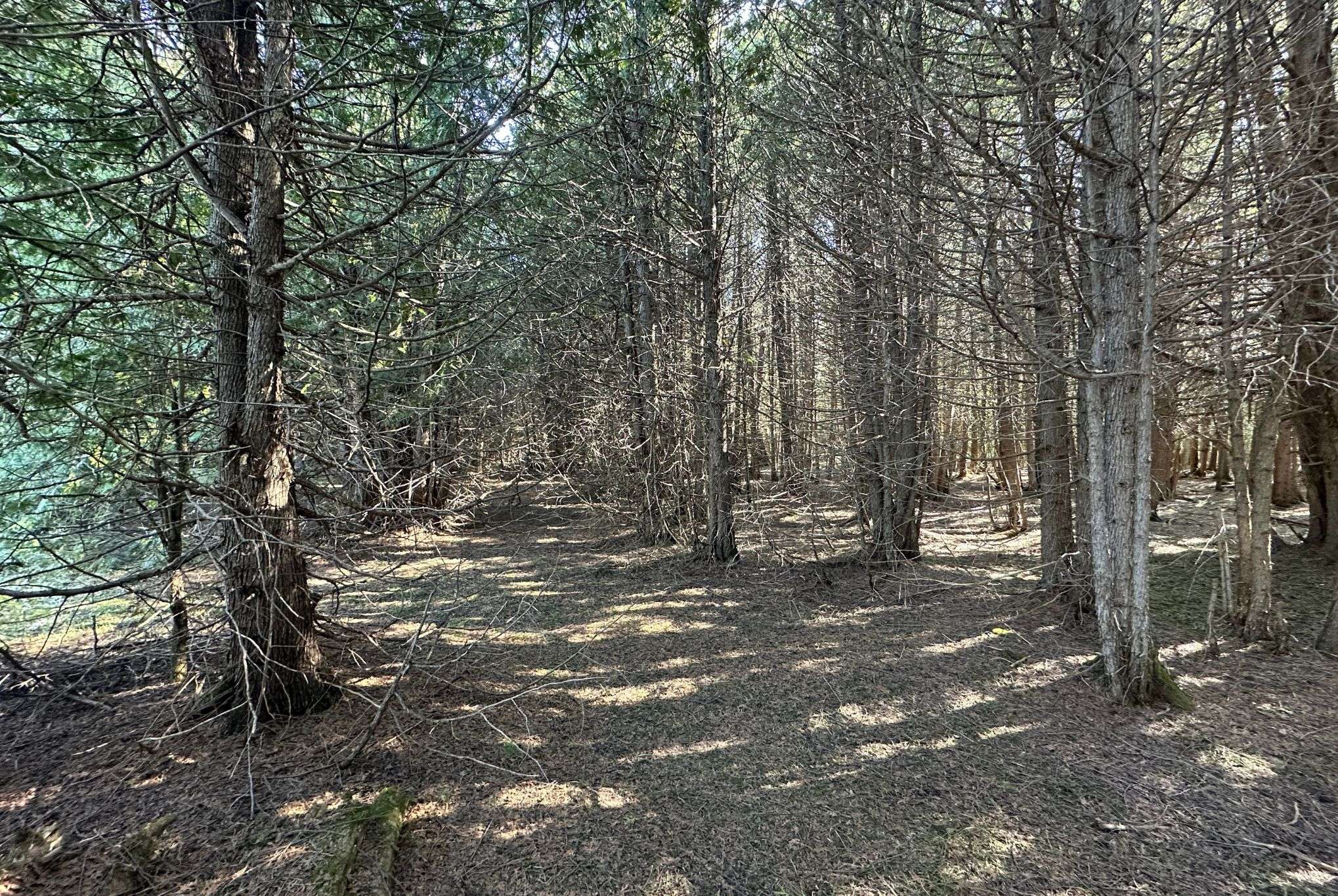 Chatsworth, ON N0H 1C0,LT 42 CON 2 NETSR N/A