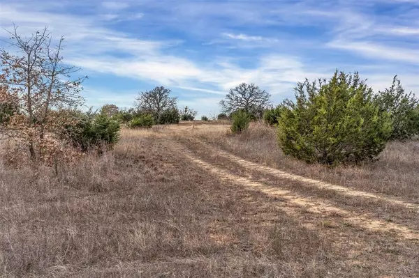Poolville, TX 76487,TBD4 County Road 3848