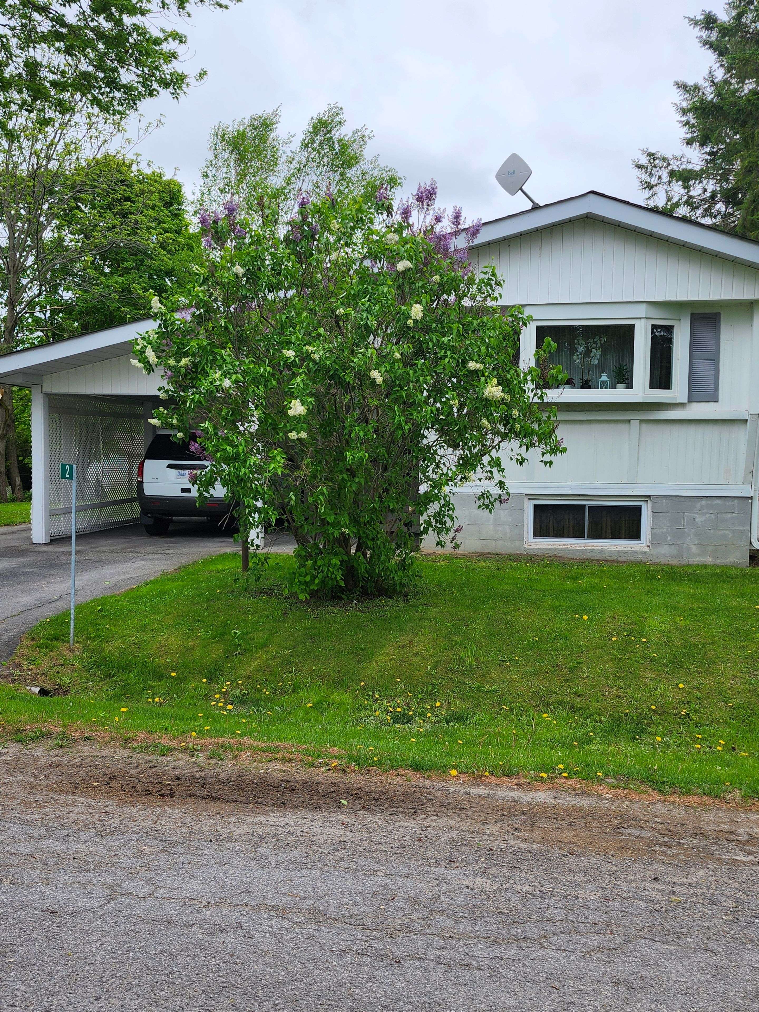 Kawartha Lakes, ON K9V 0H5,2 Park CRES