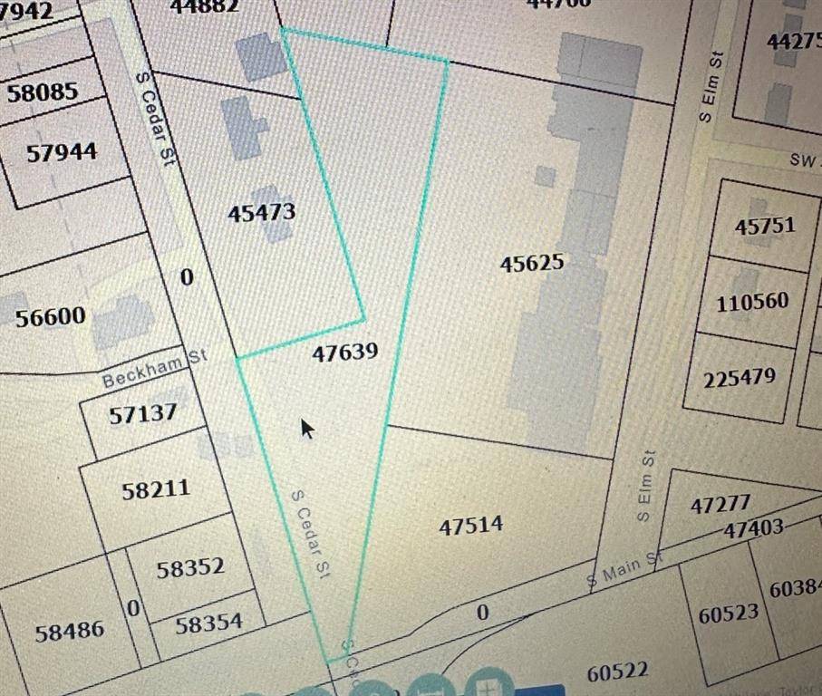 Trent, TX 79561,TBD Lot 1 S Cedar