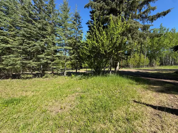 Rural Yellowhead County, AB T7E 3H4,16111 TOWNSHIP ROAD 540B