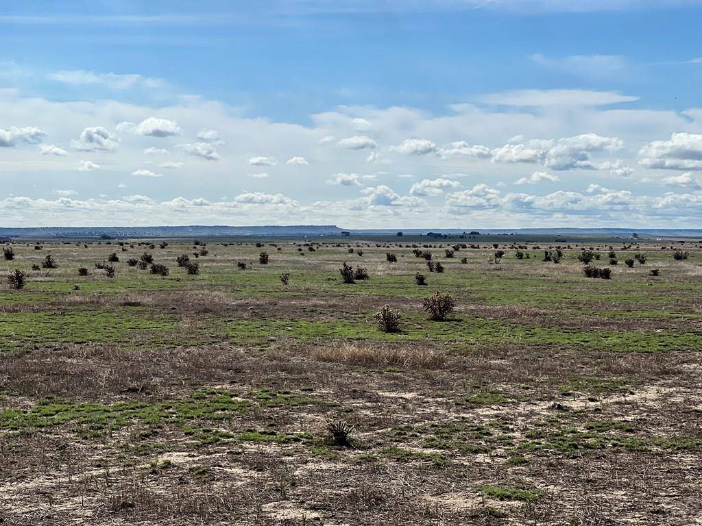 Pueblo, CO 81005,TBD Bergemann Rd