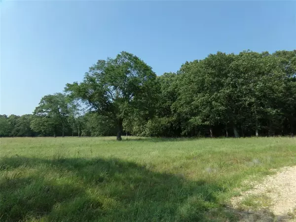 Bagwell, TX 75412,TBD LOT 13 PR LAKESIDE ESTATE